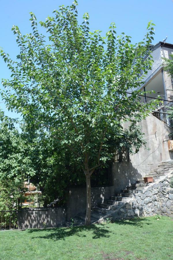 Holiday Home On Aygestan 11 エレバン エクステリア 写真